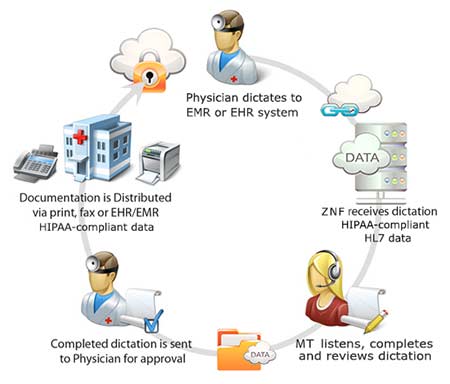 Transcription Flow Chart